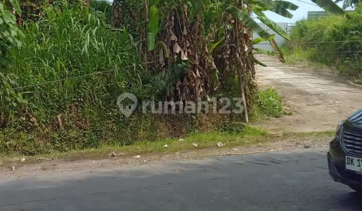 For Rent: 15 Are Land, Freehold Title (SHM), Main Road Munggu