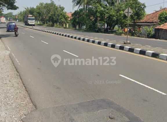 Jual Cepat Tanah Dekat Pelabuhan Patimban, Di Jalan Pantura - Subang