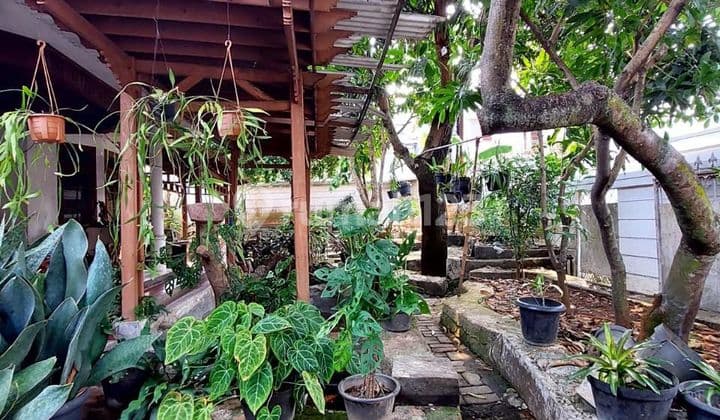 Dijual Cepat Rumah Di Cilandak Lebak Bulus Jakarta Selatan Hitung Tanah Saja