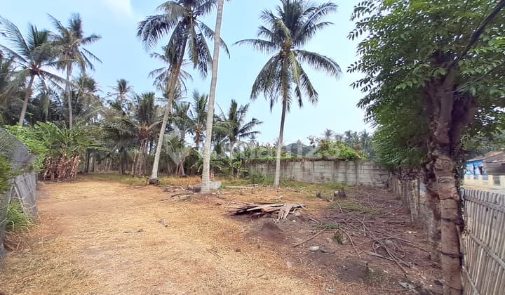 Kavling Tanah Hadap Jalan Raya Tanjung Kait Mauk Tangerang, Letter L, Dekat Laksana Business Park