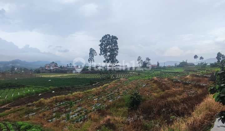 Tanah Area Ciwidey Cocok untuk Villa atau Berkebun