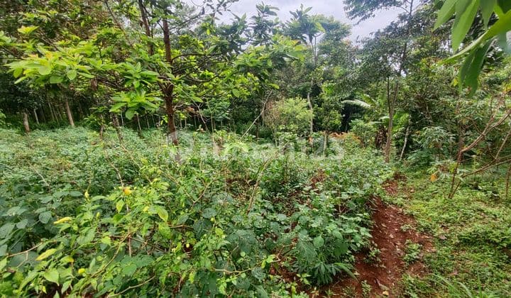 Land at the Foot of Mount Geulis Tanjungsari Sumedang