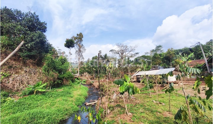 Tanah Dan Sungai Cocok Untuk Villa Bangunan Komersil Ciwidey