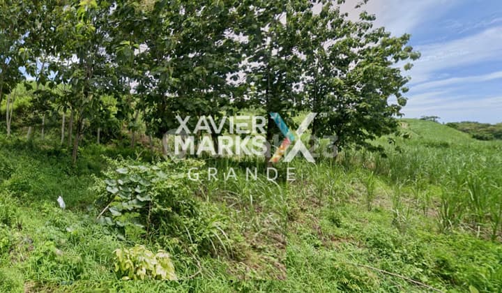 Dijual Tanah Super Luas Di Srigonco. Bantur - Malang