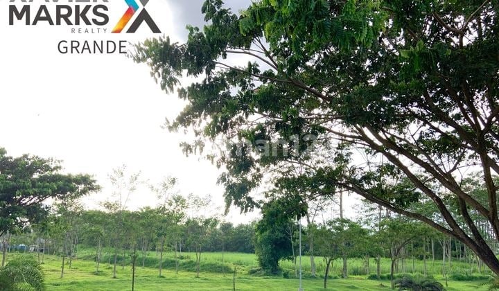 TANAH LUAS MURAH Di Lokasi Premium Araya, Dekat Binus Malang