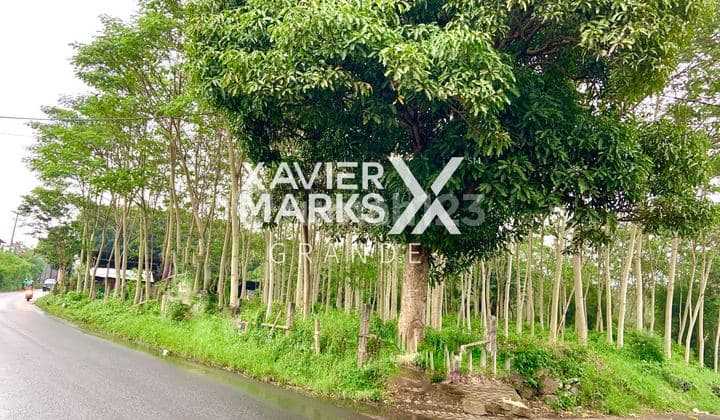 Jual Murah TANAH LUAS di Poros Pandanlandung, Bandulan Malang