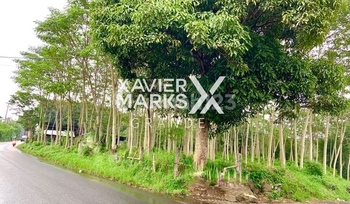 Jual Murah TANAH LUAS di Poros Pandanlandung, Bandulan Malang