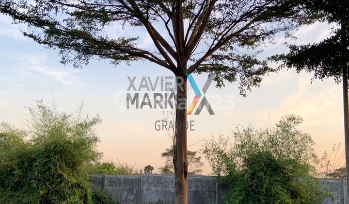 Dijual Tanah Kavling Di Pine Hill Araya Malang