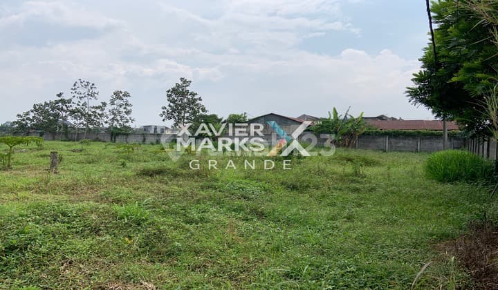 Dijual Tanah Luas Murah Di Bedali Lawang, Malang