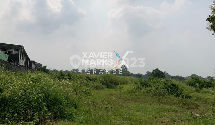 Dijual Tanah Luas Di Nol Jalan Raya Purwodadi. Pasuruan