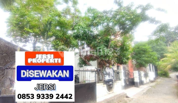Rumah Kantor Sewa Mewah Harga Murah Lokasi Samarinda Kota 0266