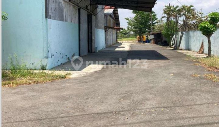 Jual Cepat Ex Pabrik Di Pantura Pekalongan