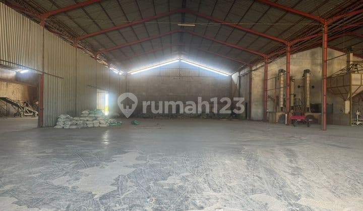 For Sale: Large Land + Warehouse on the Kudus Demak Ring Road Side
