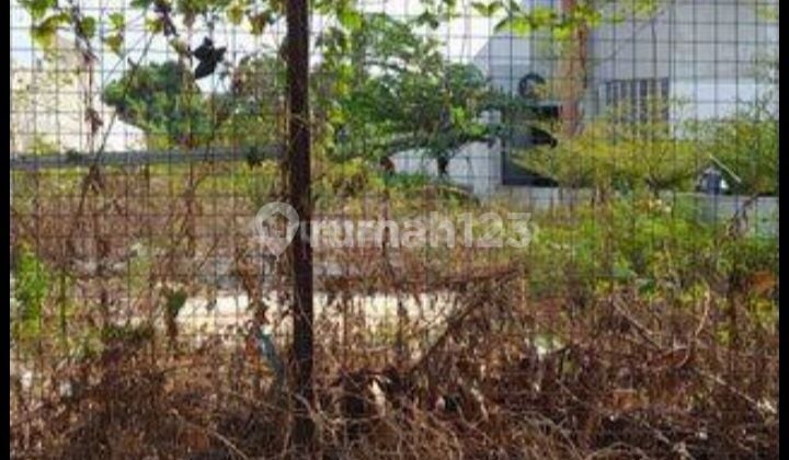 Strategic land by the roadside next to Harvest.