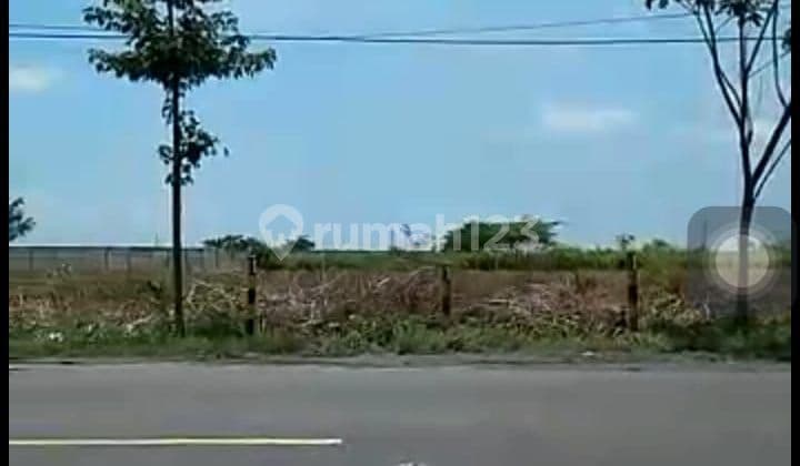 Tanah Zona Industri Di Pinggir Jalan Raya Daerah Jawa Timur
