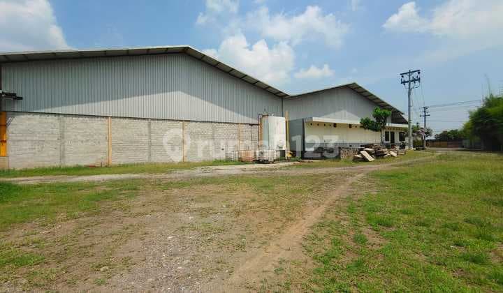 Gudang Besar , Siap Pakai Bisa Utk Produksi Dan Penyimpanan Di Kendal