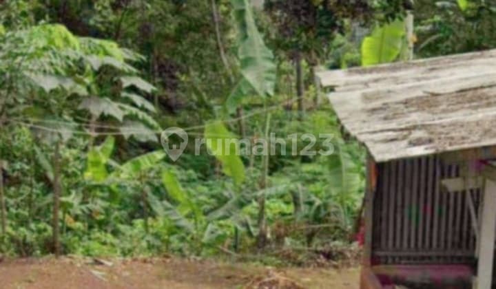 Dijual Tanah SHM Luas 8407 M2 Dekat Mall Ciputra Cibubur