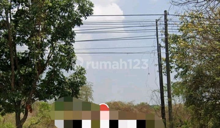 For Sale Land @ Golokan Sidayu, Gresik, Jl Raya Dendles/national, Gresik - Tuban (rs)