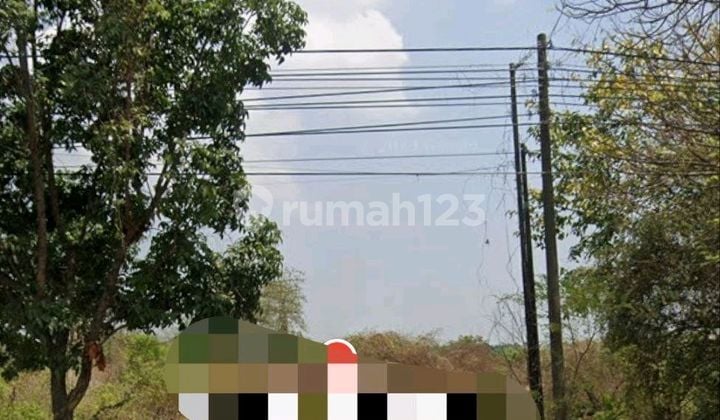 For Sale Land @ Golokan Sidayu, Gresik, Jl Raya Dendles/national, Gresik - Tuban (rs)