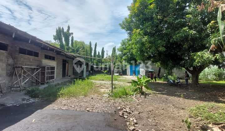 Dijual Cepat Rumah Walet Plus Tanah Luas di Pinggir Jalan Raya Babelan Bekasi