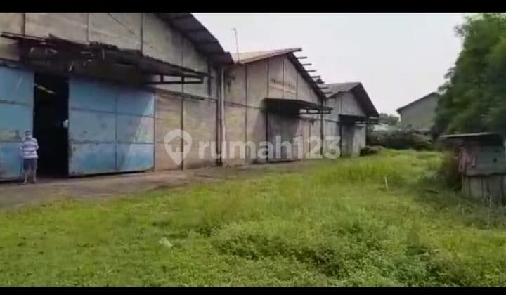 Dijual Cepat Tanah Luas Plus Gudang di Raya Cileungsi Jonggol