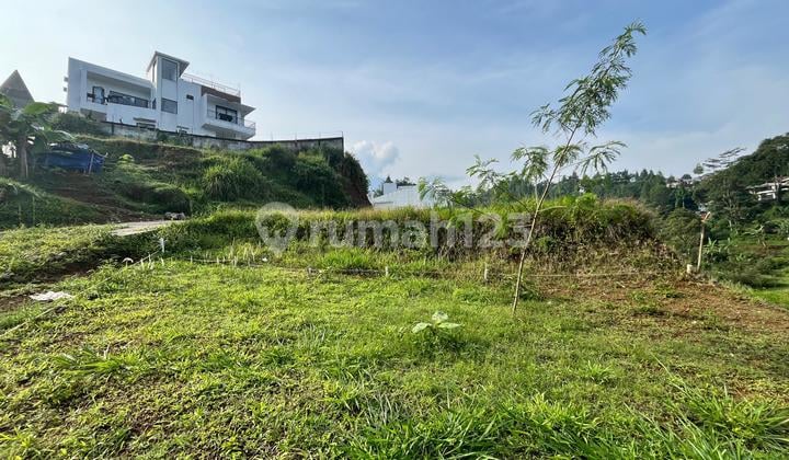 Tanah Murah Shm Di Puncak Bogor Kawasan Villa Sewa