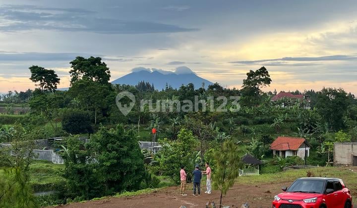 Tanah Luas 530 Meter di Puncak Dekat Taman Safari
