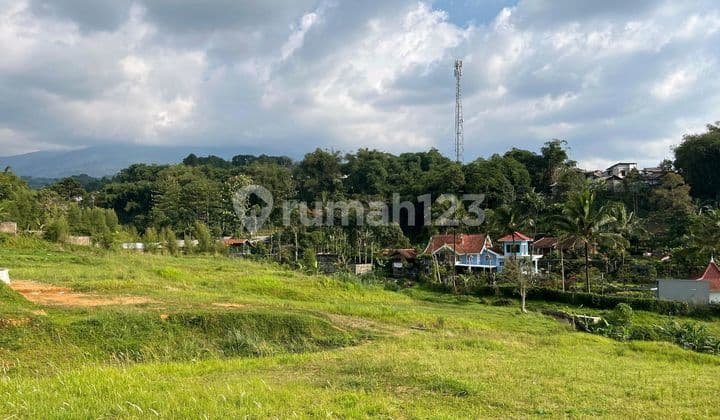 Tanah 305m2 Di Cisarua Puncak Bogor Dekat Wisata Safari