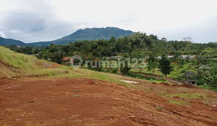 Tanah di Jalan alternatif cisarua puncak Bogor