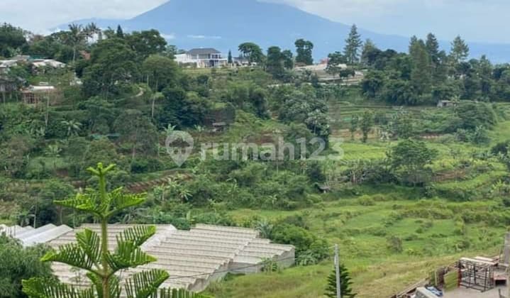 Tanah murah 1000m² di jual cepat di megamendung puncak bogor