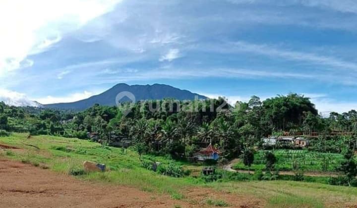 Tanah di Jalan alternatif cisarua puncak Bogor dekat safari