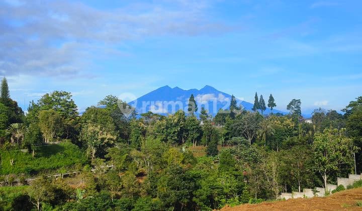 Tanah di megamendung puncak bogor 1500m² view gunung