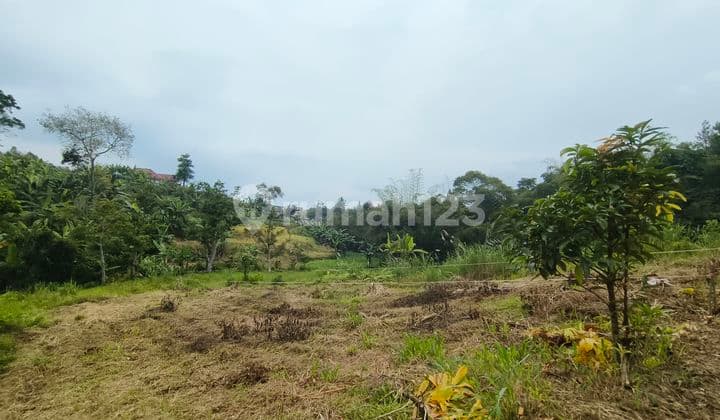 Tanah di cisarua puncak bogor luas 360m² dekat aliran sungai