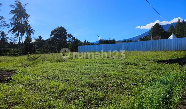 Tanah di megamendung puncak bogor luas 218 siap bangun