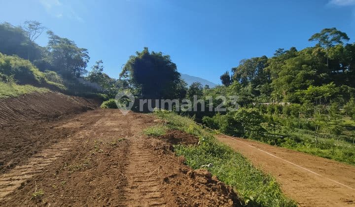 Tanah kontur 3000m² view gunung di megamendung Puncak bogor