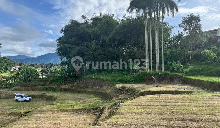 Tanah di Puncak Bogor Luas 500 Meter SHM