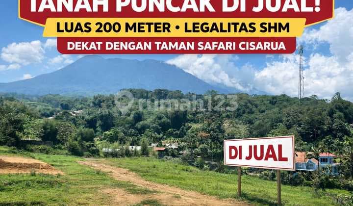 Tanah Dekat Taman Safari Puncak Bogor 200 Meter