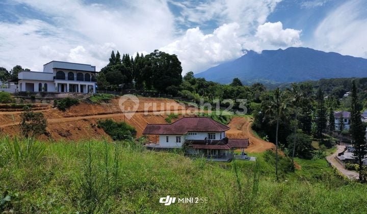 Tanah Bonus 3 Bangunan Villa Di Puncak Bogor Luas 11073 m²