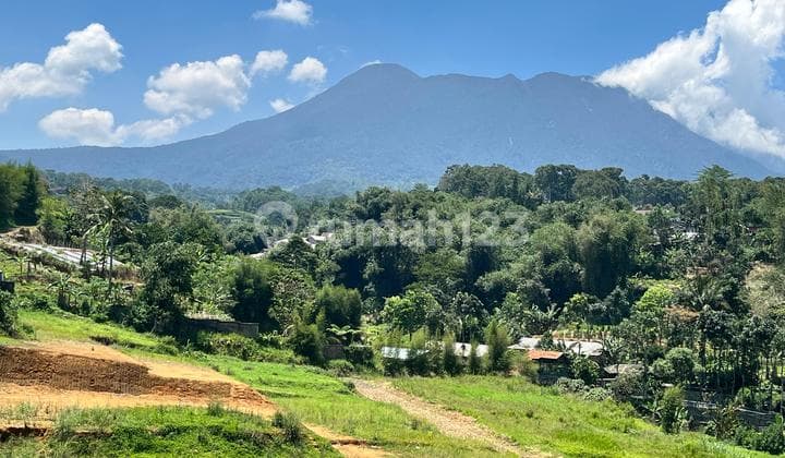 Tanah Shm 400m2 Di Hook Lokasi Puncak Bogor