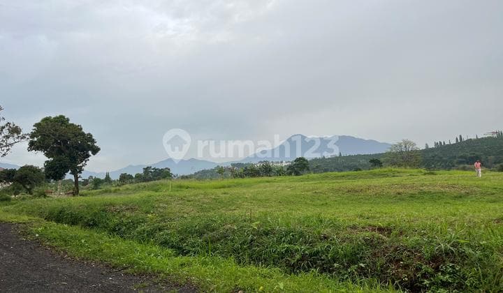 Strategic Land Near Puncak Main Road