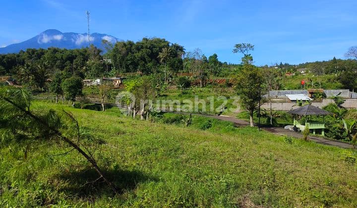Tanah Dijual dekat Wisata Taman Safari Puncak Bogor