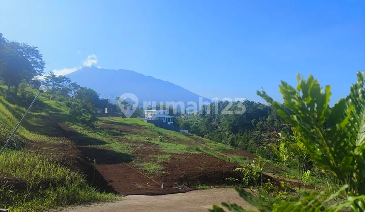 Tanah 1500 m² SHM Lokasi Strategis Puncak Bogor