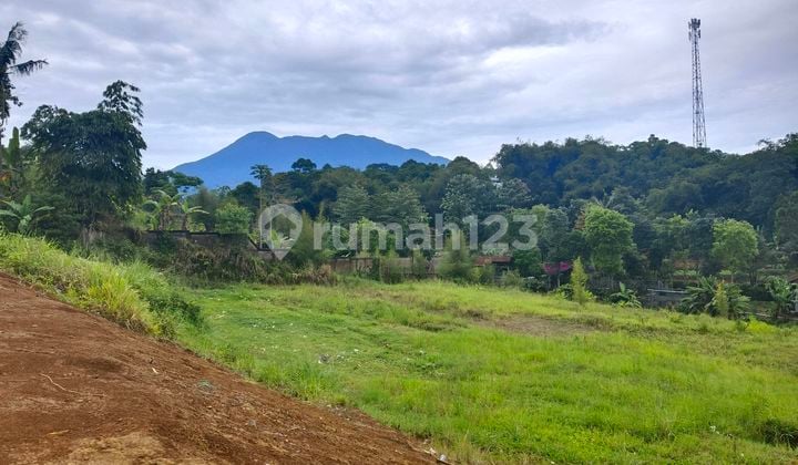 Tanah Di Puncak Luas 440 M2 Ketinggian 900mdpl