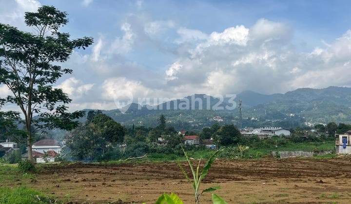 Tanah di Puncak Bogor 200 Meter Dari Jalan Raya
