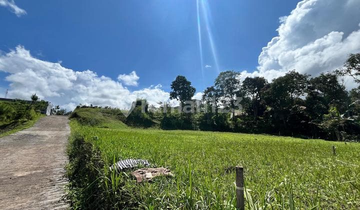 Tanah Belakang Coffe Shop Munjul Puncak Bogor