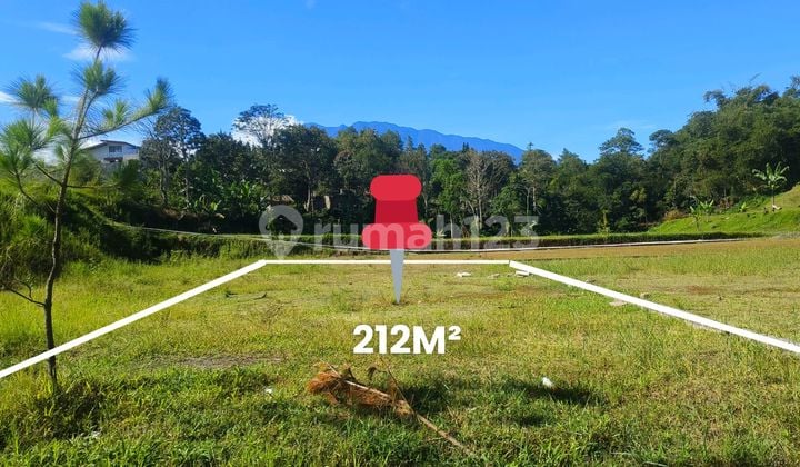 Tanah 212m2 Di Puncqk Megamendung Bogor Dekat Kopi Munjul