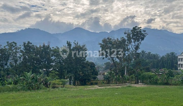 Tanah Siap Bangun Luas 500m2 Dekat Jalan Raya Puncak