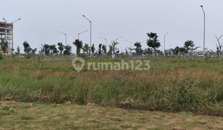 Kavling Komersial Siap Bangun Luas 15x30 450m3 di Brooklyn Avenue Pik2 Tangerang