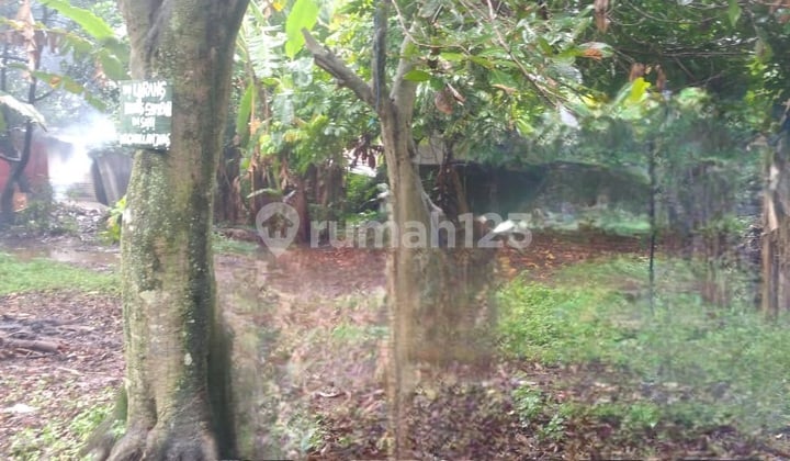 Land in Munjul Cipayung, East Jakarta with SHM certificate, 1,649 m².