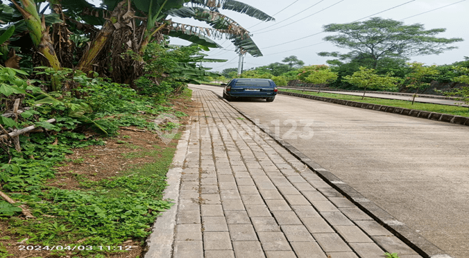 Tanah Parung Panjang Luas 2.5 Hektar Dekat Perumahan Citaville